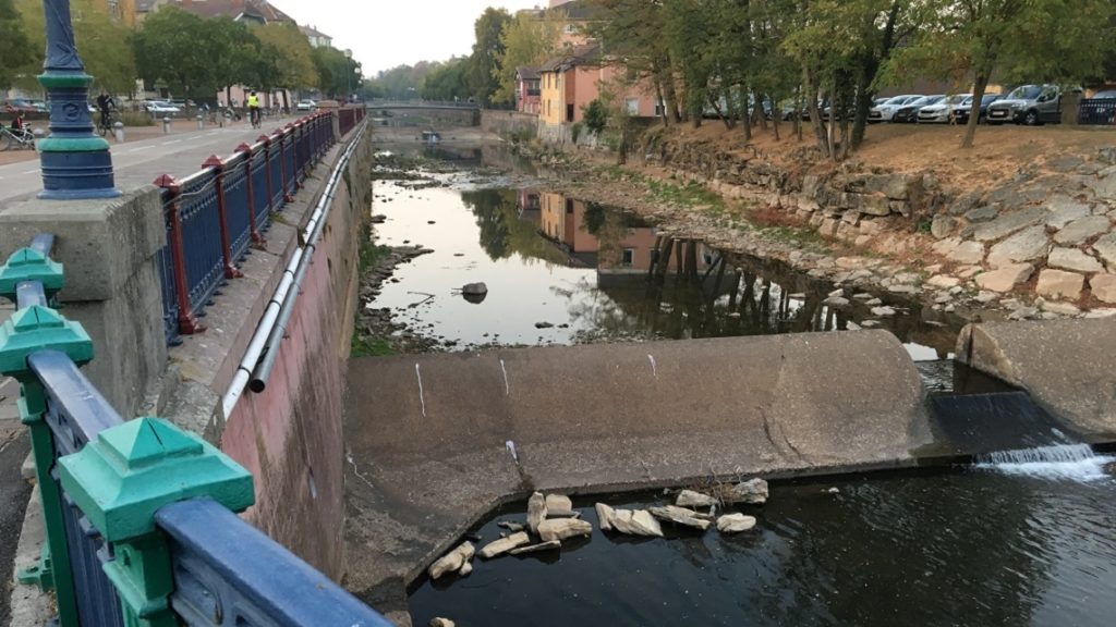 Depuis deux ans, les rivières du territoire de Belfort souffrent. Ici, la Savoureuse à Belfort en octobre 2018. ©Le Trois – P.-Y.R.