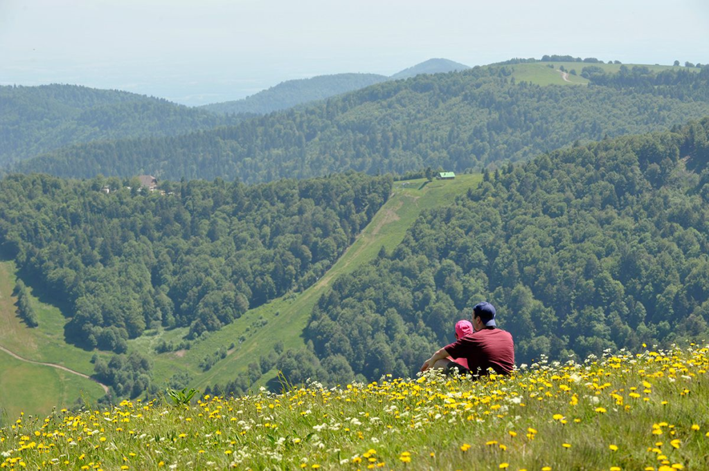 Le Ballon d'Alsace en été