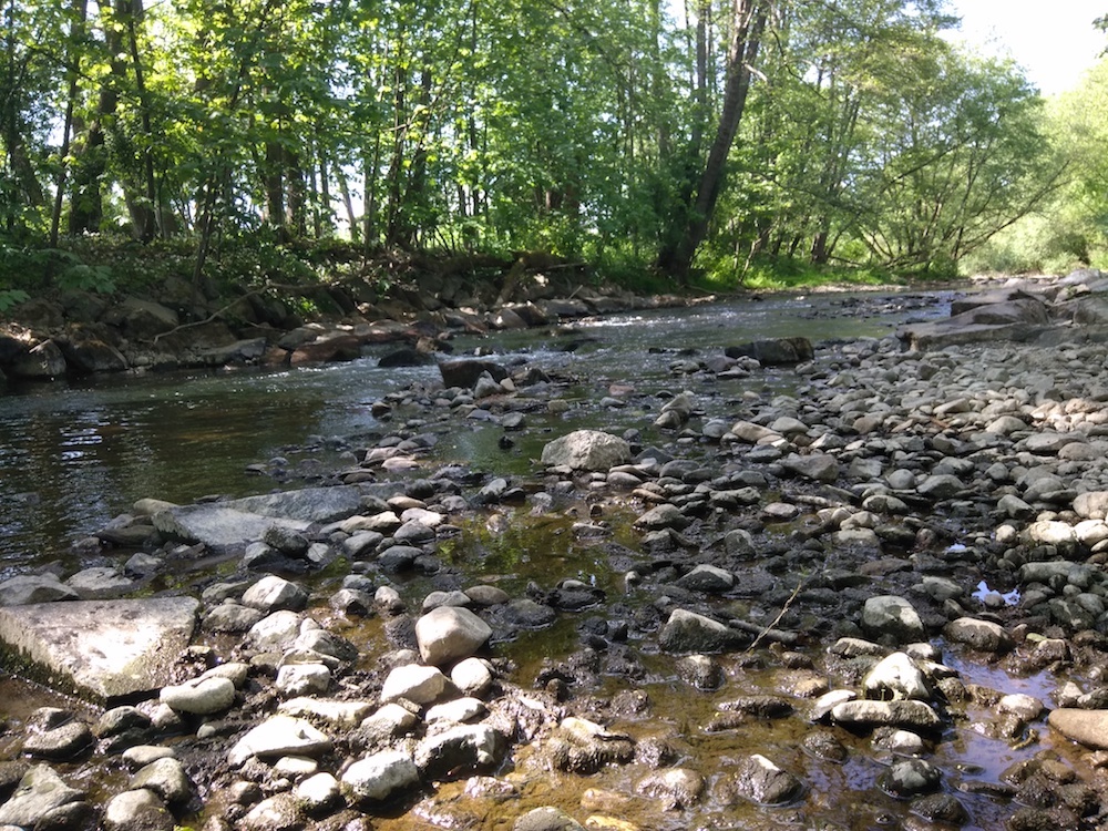 Les faibles précipitations entraînent une baisse des débits des rivières. On évoque une sécheresse printanière.