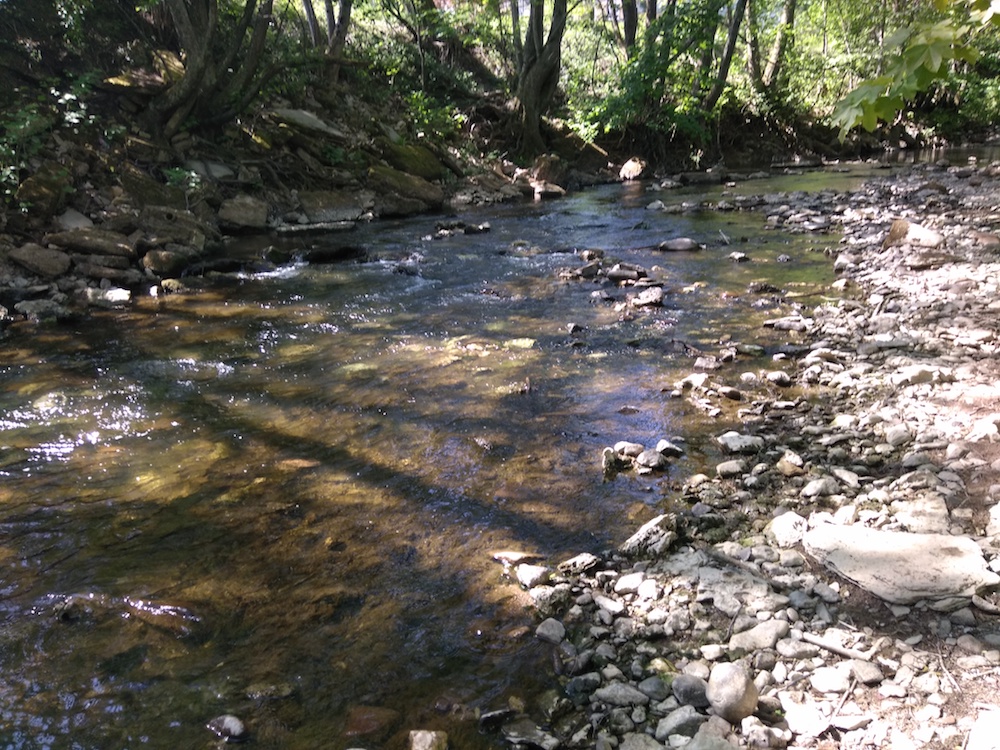 Quelques jours après la préfecture du Doubs, la préfecture de Haute-Saône publie un arrêté restreignant les usages de l’eau. C’est le niveau 1, alerte Sécheresse.