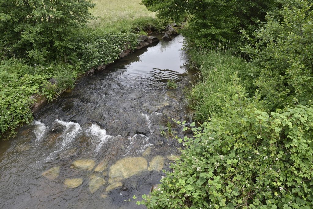 Deux rivières, le Rhôme et le Combois, ont été classées "rivière en bon état" par l'agence de l'eau Rhône Méditerranée Corse.