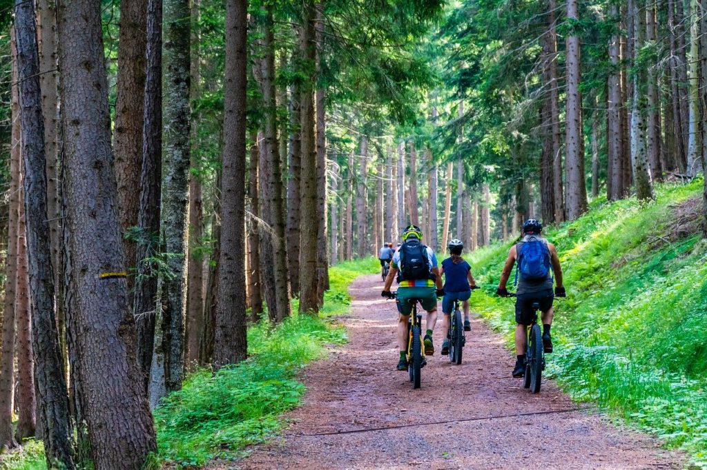 L'organisation de la Transterritoire VTT, initialement programmée le 3 octobre dans le Territoire de Belfort, a annoncé que la 31e édition était annulée.