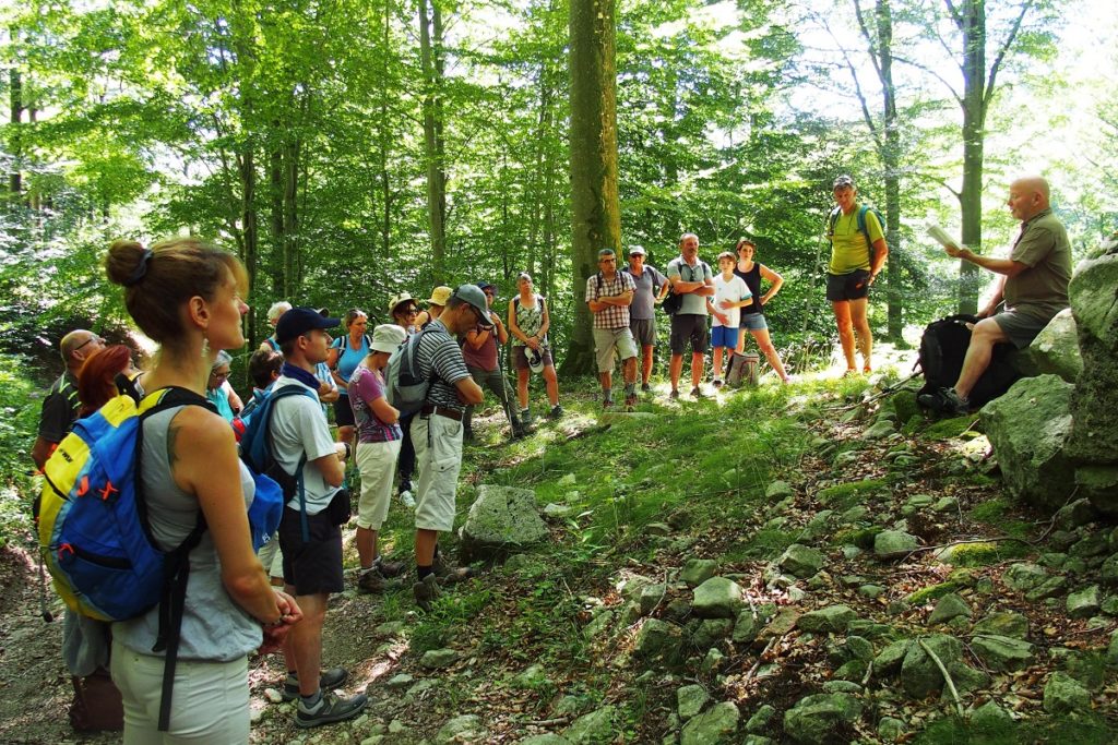 Les prochaines promenades en forêt sont programmées ce mercredi 5 août.