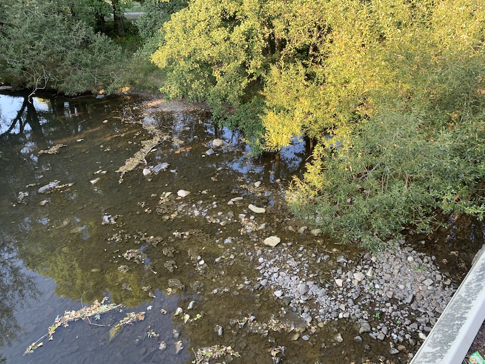 L'étiage de la Savoureuse est très bas en septembre 2020.