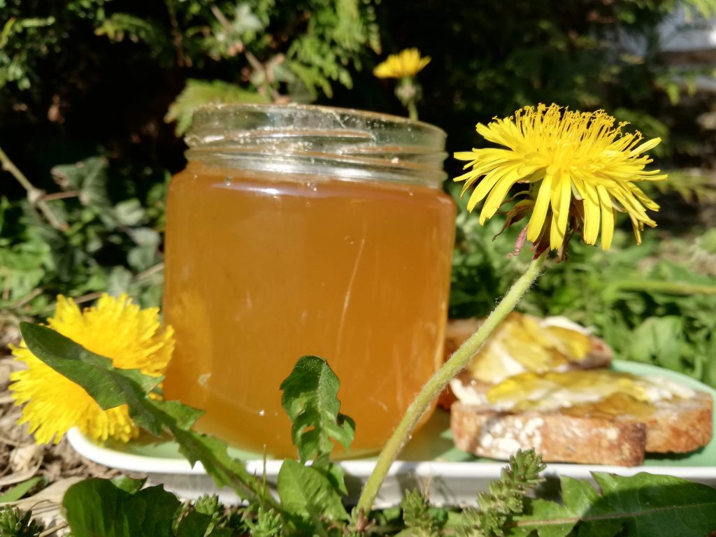 Recette à base de pissenlit concoctée par Fleur.