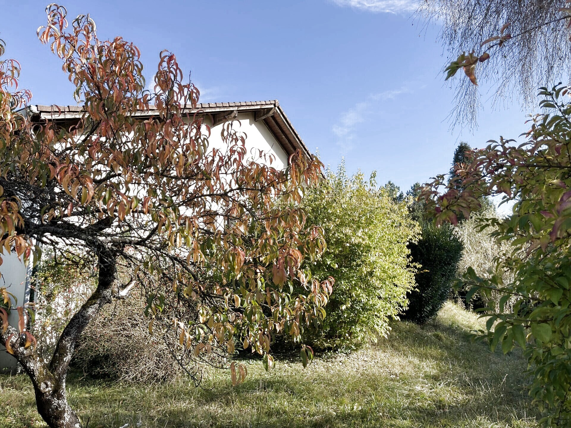 À acheter à Montbéliard (25) : villa avec terrasse