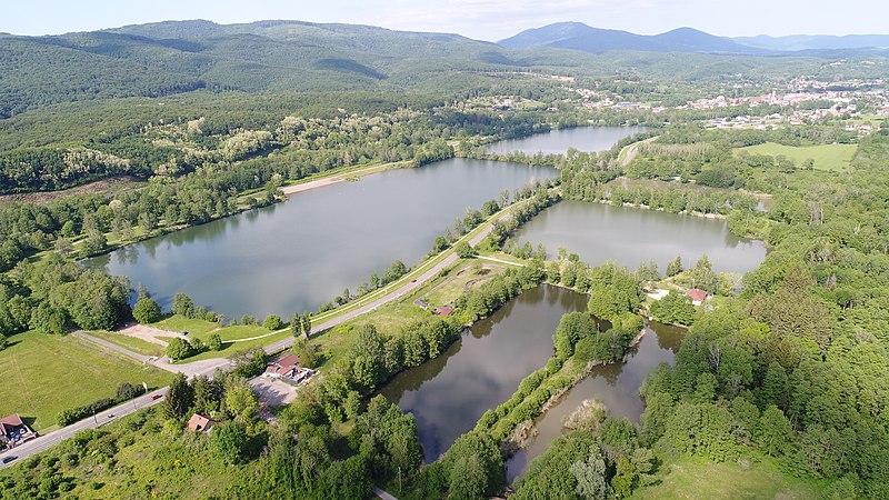 Des cyanobactéries ont été détectées au site des Ballastières de Champagney. | © CC BY-SA 4.0 - Alexandre Bourgeois.