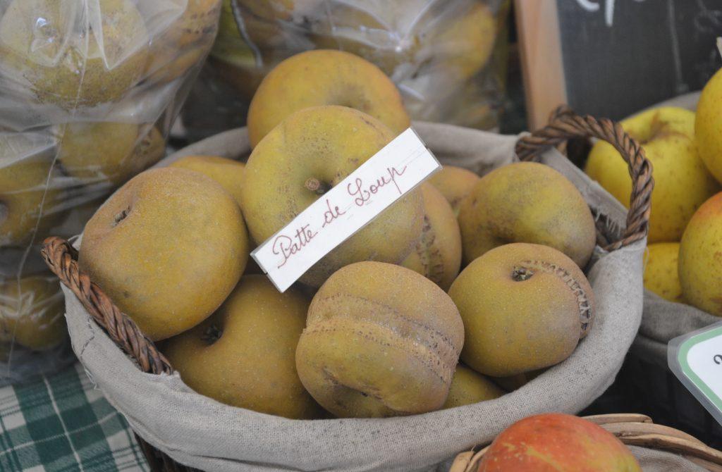 Des pommes, variété pattes de loup. | ©agence régionale de la biodiversité