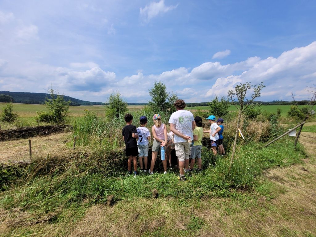 L'agence régionale de la biodiversité organise des actions d'éducation environnementale. | ©Agence régionale de la biodiversité Bourgogne-Franche-Comté