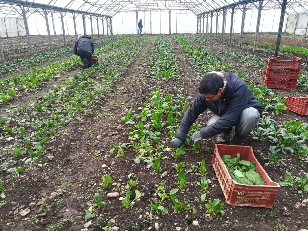 Jardin d'idées, à Bavans. | ©DR 
