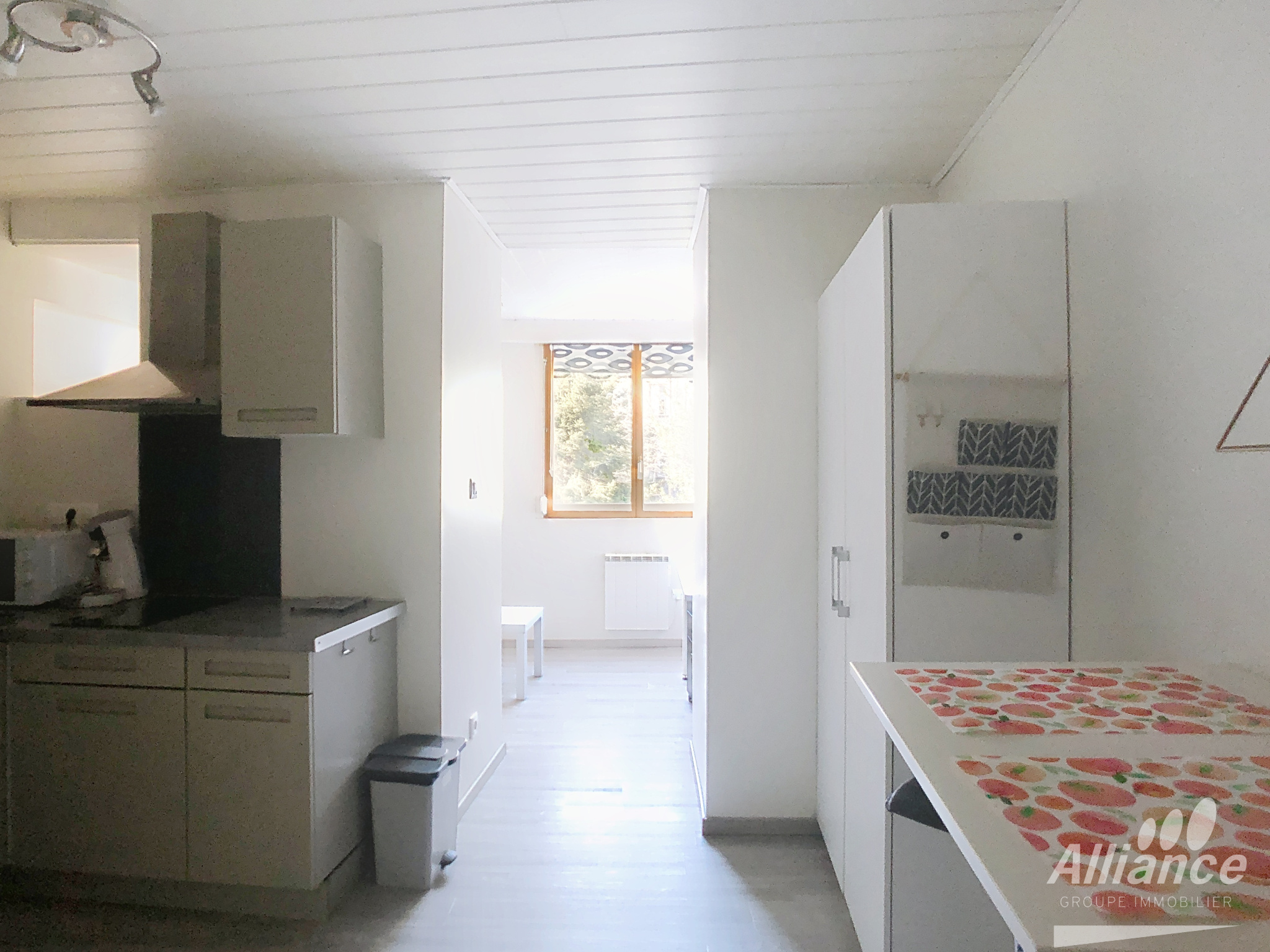 LOUE F1 MEUBLE CENTRE VILLE