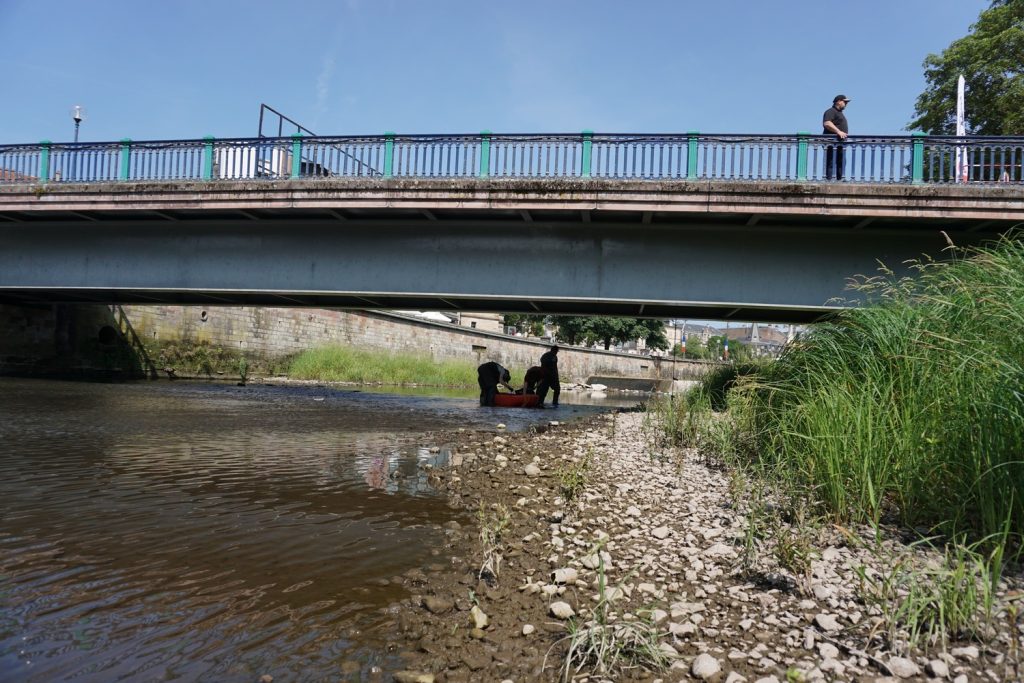 Le 13 juin, les berges de la Savoureuse étaient à découvert. | ©Le Trois - L.C.