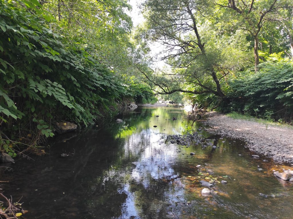 L'eau potable du Grand Belfort est captée à Sermamagny et provient de la Savoureuse. | ©Le Trois - L.C.