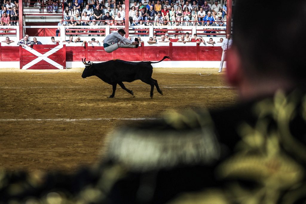 Une course landaise, en 2023. | ©Charly Triballeau - AFP 