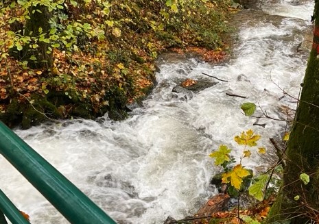 Les fortes précipitations font monter le niveau des rivières.